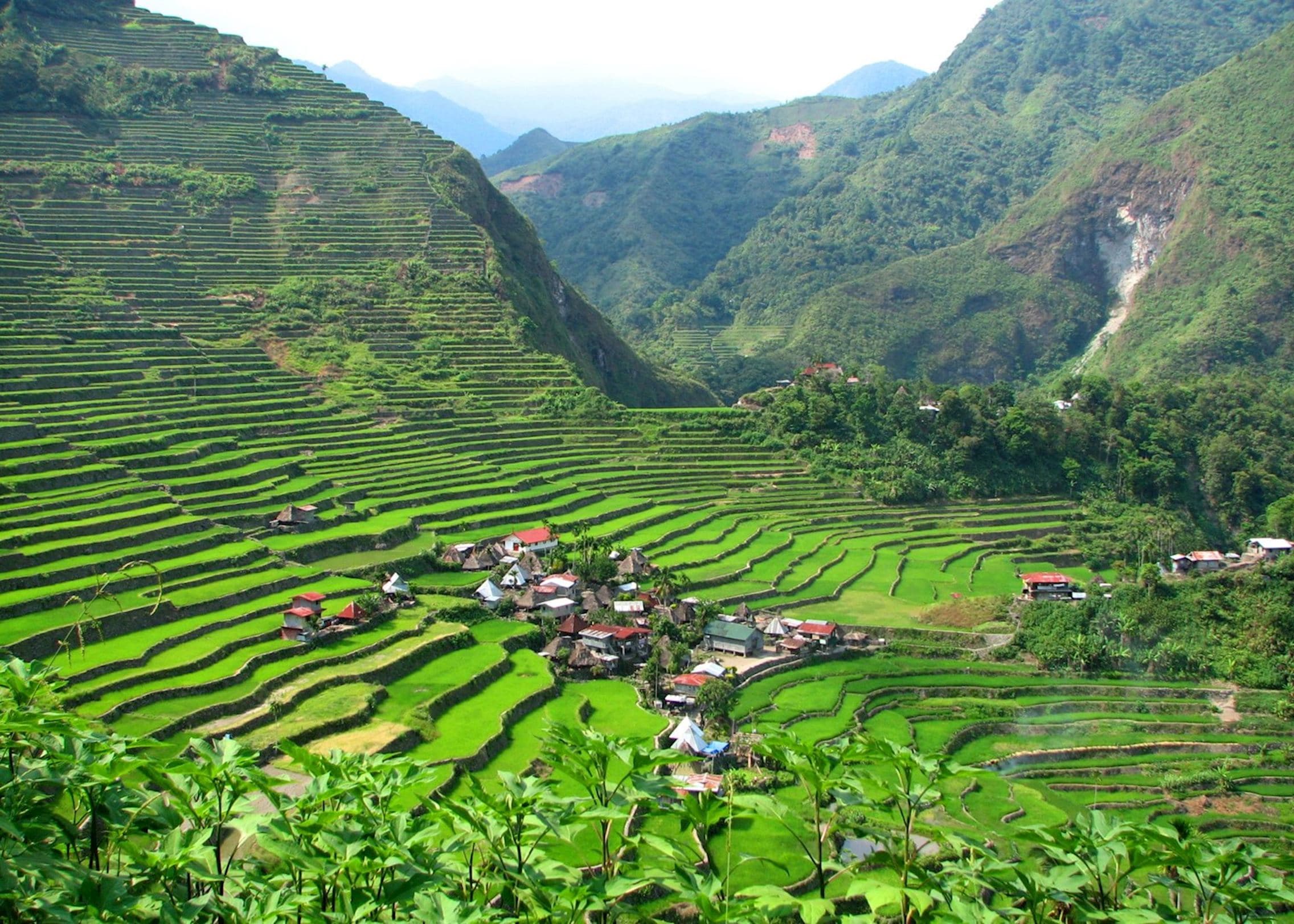 Batad Rice Terraces